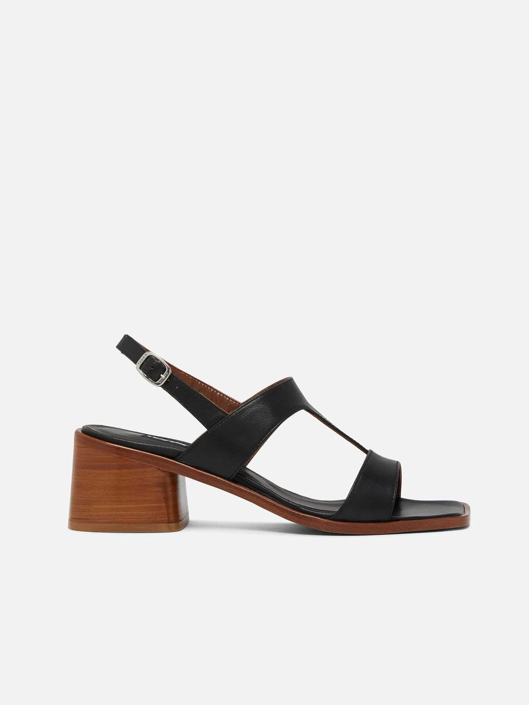 Women Carel Sandals And Mules-Black Leather Sandals