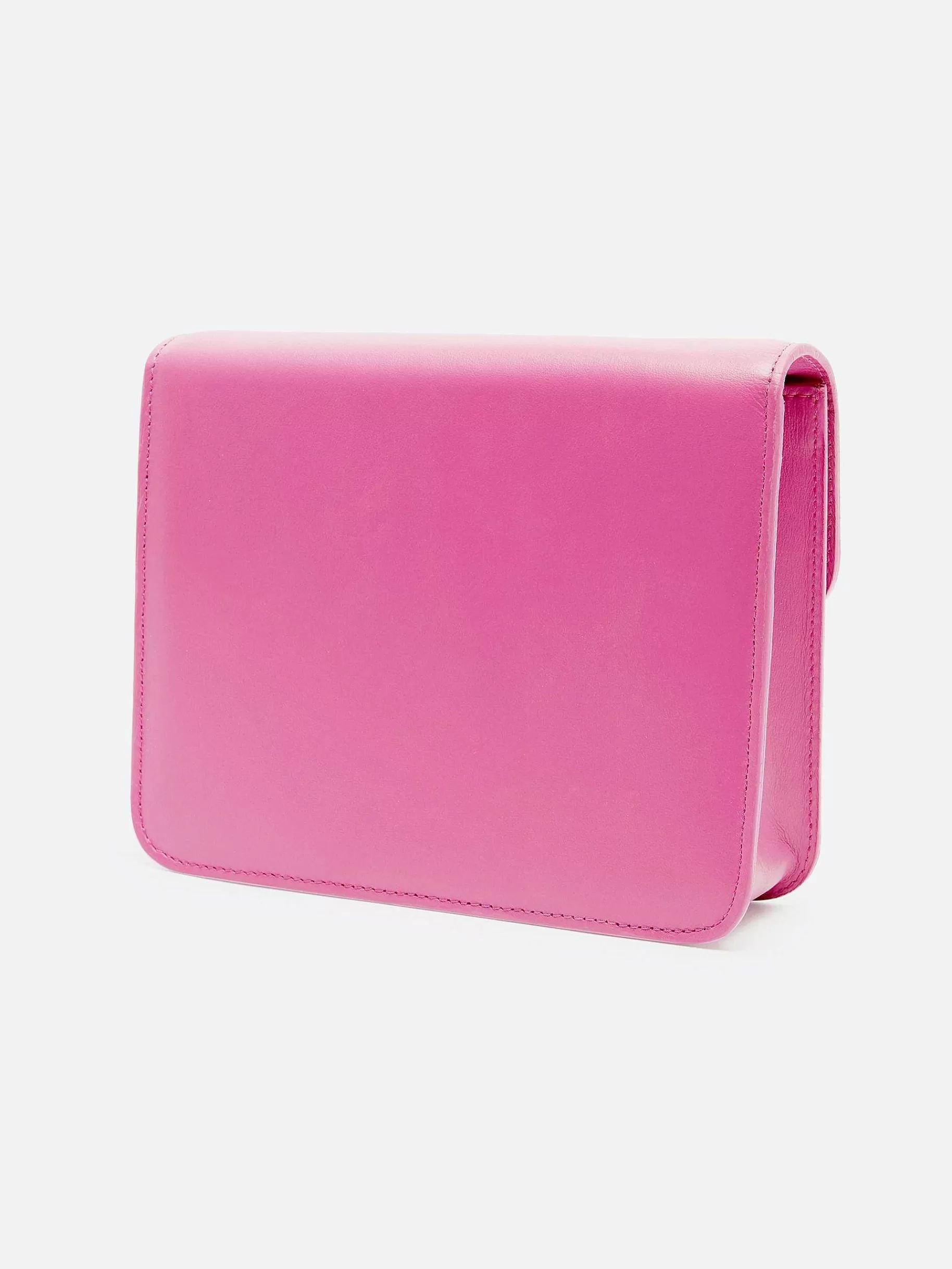 Women Carel Bags-Pink Leather Bag